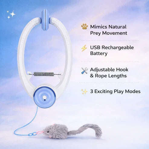 PouncePlay™ Automatic Doorway Cat Teaser