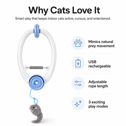 PouncePlay Automatic Doorway Cat Teaser