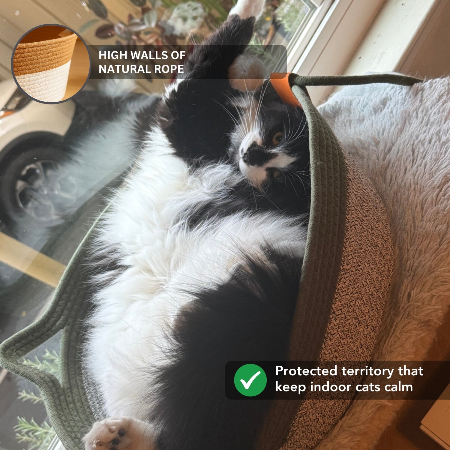 Instinct Basket | A Natural Territory Made for Indoor Cats