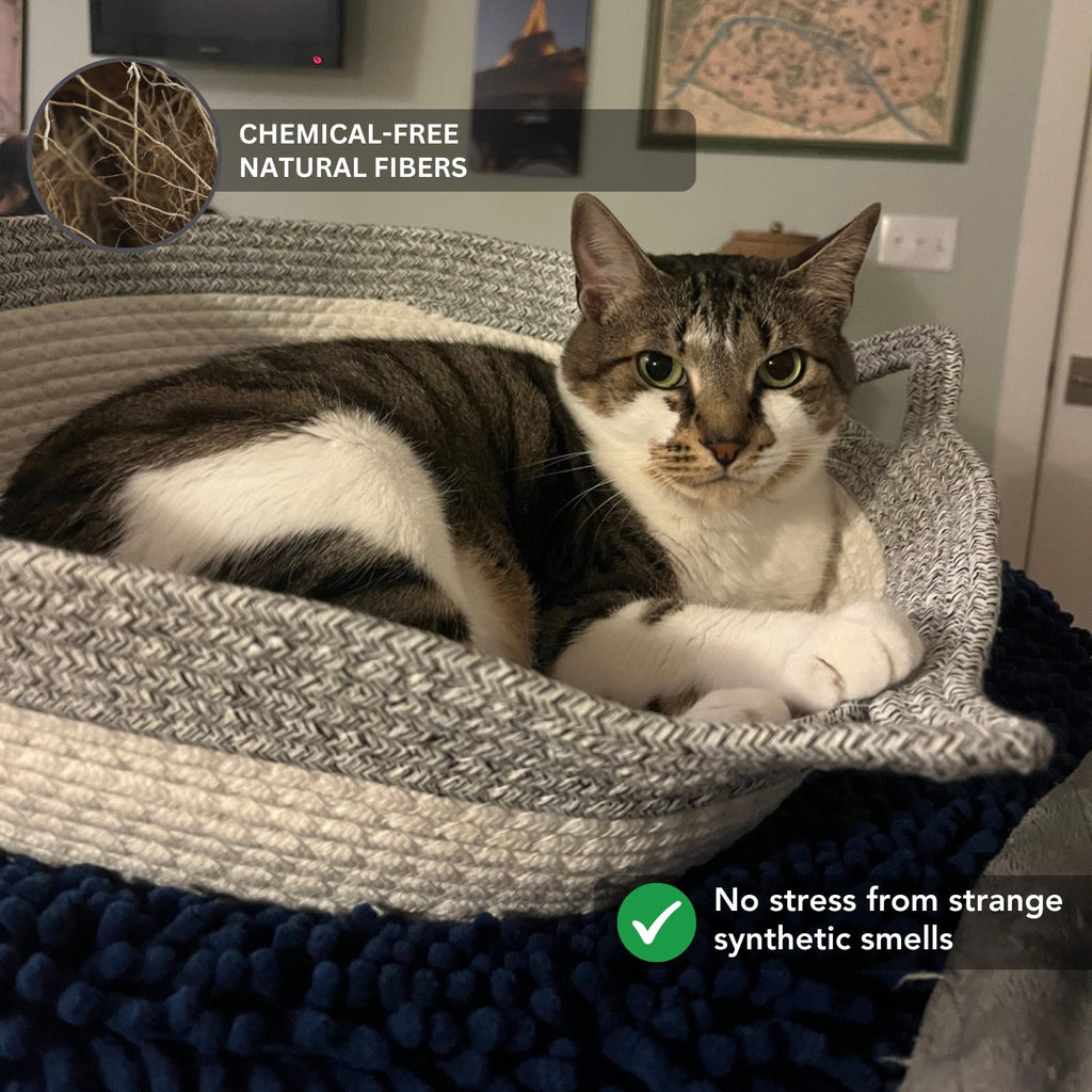 Instinct Basket | A Natural Territory Made for Indoor Cats