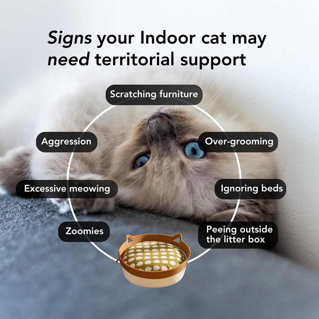 Instinct Basket | A Natural Territory Made for Indoor Cats