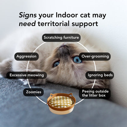 Instinct Basket | A Natural Territory Made for Indoor Cats