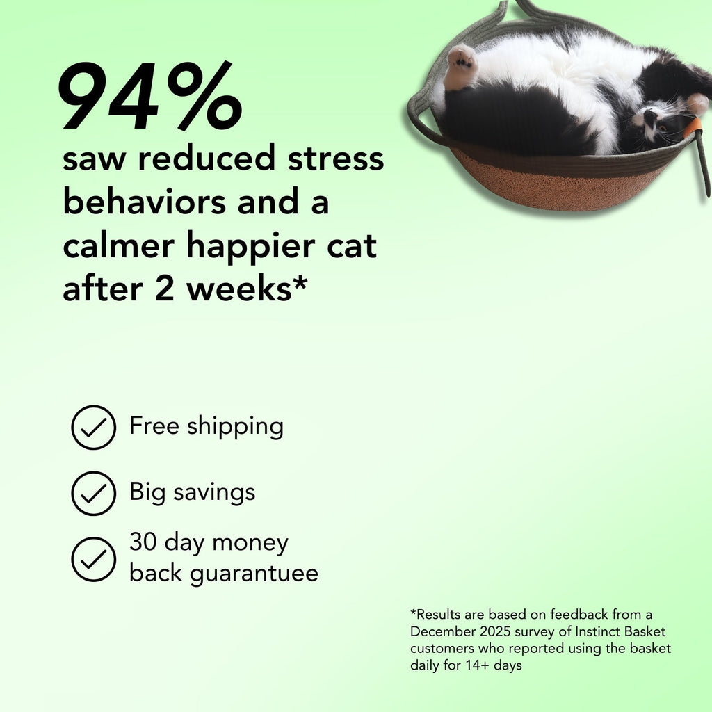 Instinct Basket | A Natural Territory Made for Indoor Cats