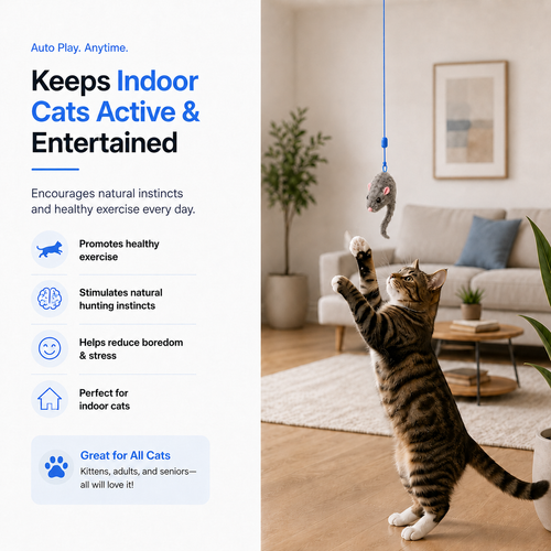PouncePlay Automatic Doorway Cat Teaser