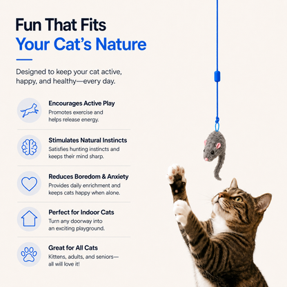 PouncePlay Automatic Doorway Cat Teaser