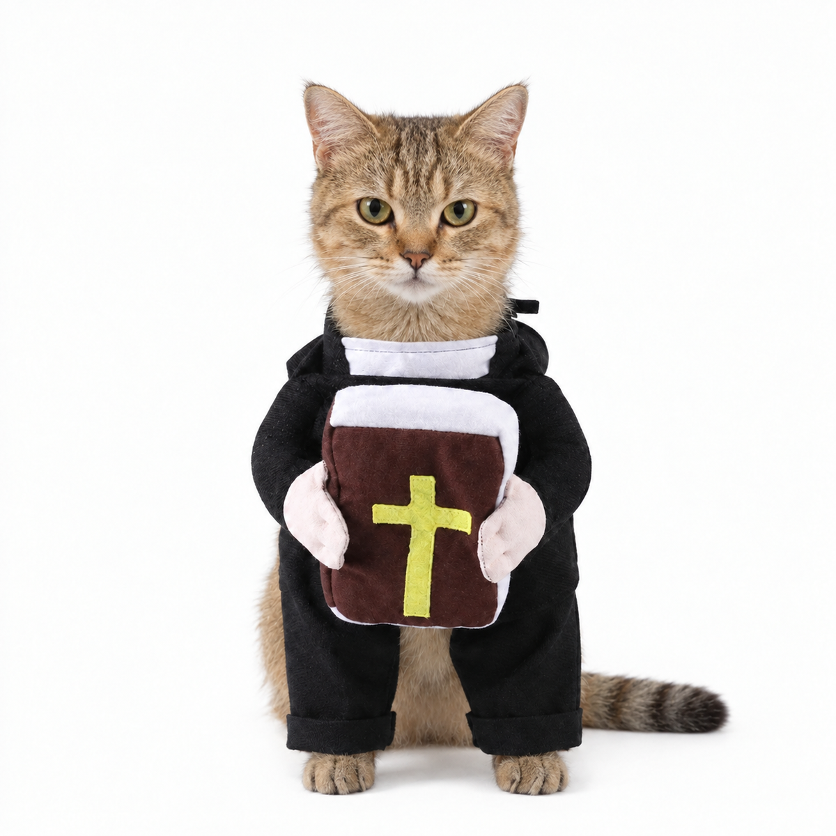 Holy Cat Costume