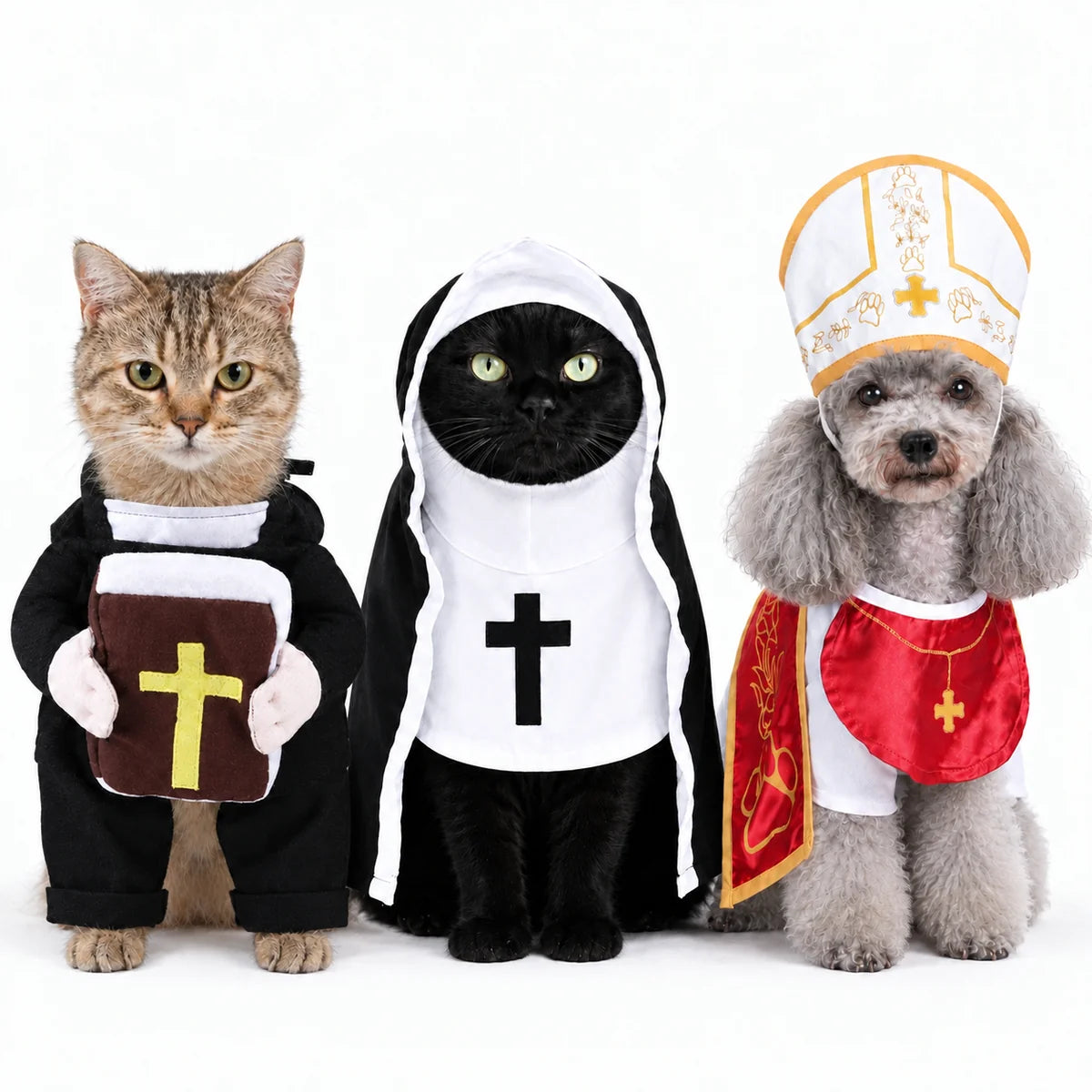 Holy Cat Costume