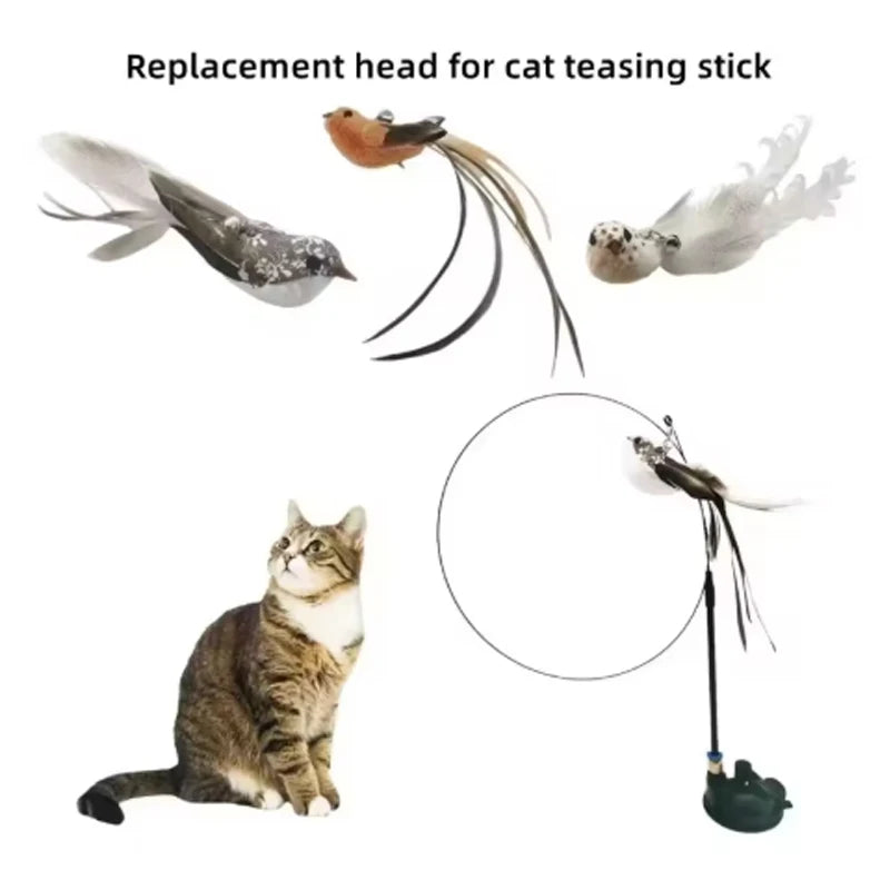 The Perch Chase — Suction Cup Feather Teaser Wand