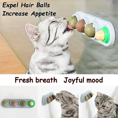 The Spin Stick — Rotating Catnip & Silvervine Wall Toy