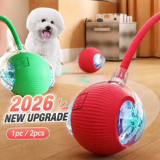 The Chase — Automatic Rolling Cat Ball