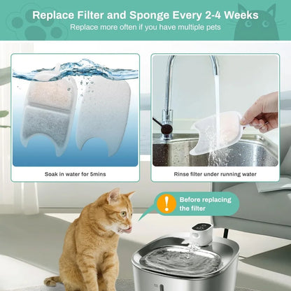 Filter Duty — Replacement Filters Sponges, 12-Pack