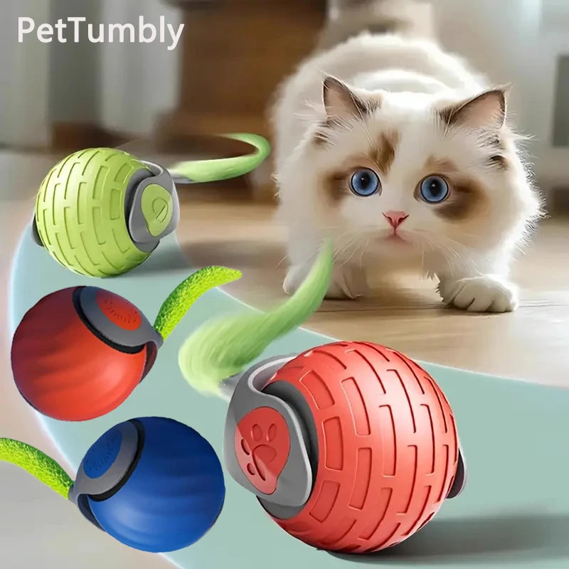 The Dash — Smart Rolling Cat Ball