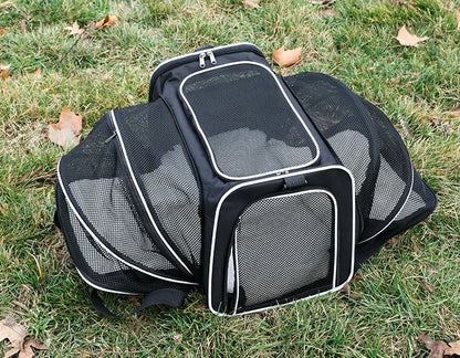 The Voyager — Expandable Cat Carrier