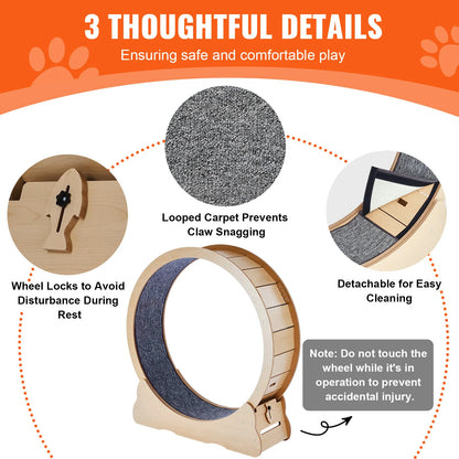 The Runway — Wooden Cat Exercise Wheel
