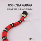 The Slither — Auto Sensing Cat Snake Toy