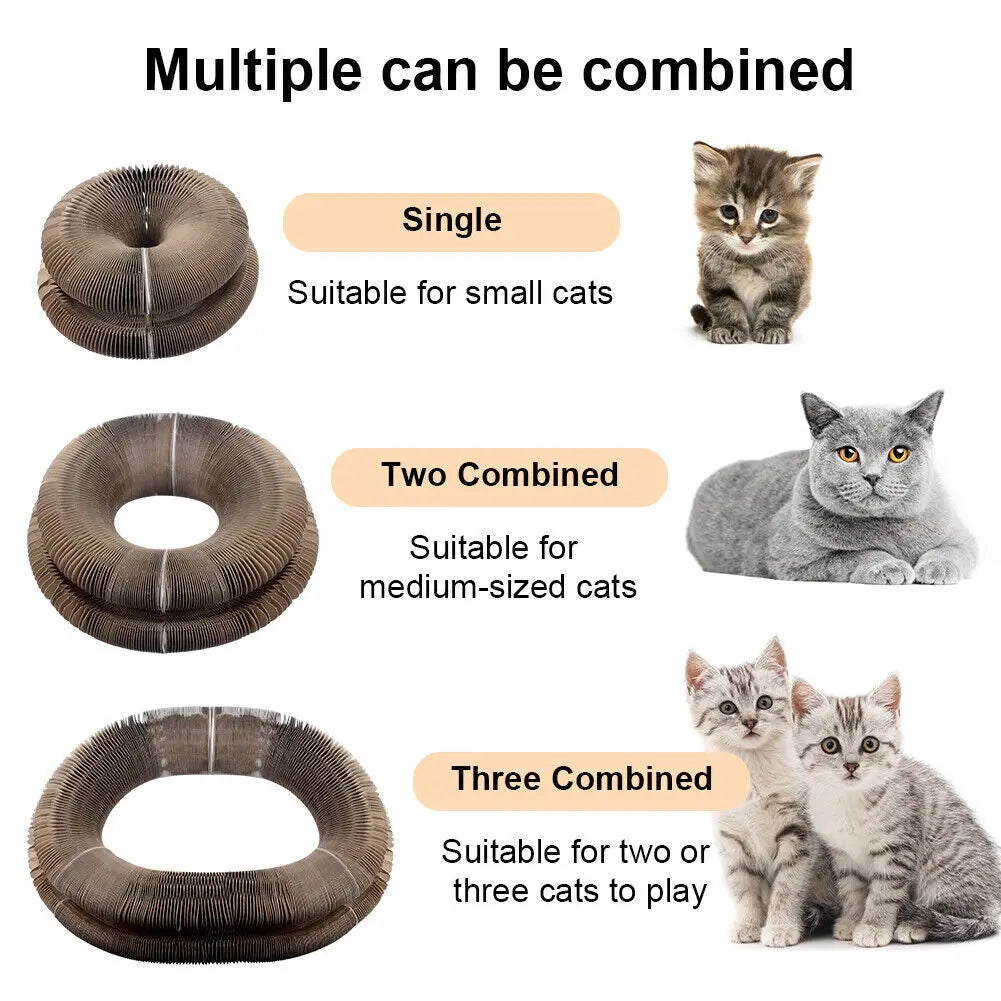The Fold & Scratch — Cardboard Cat Scratcher with Ball