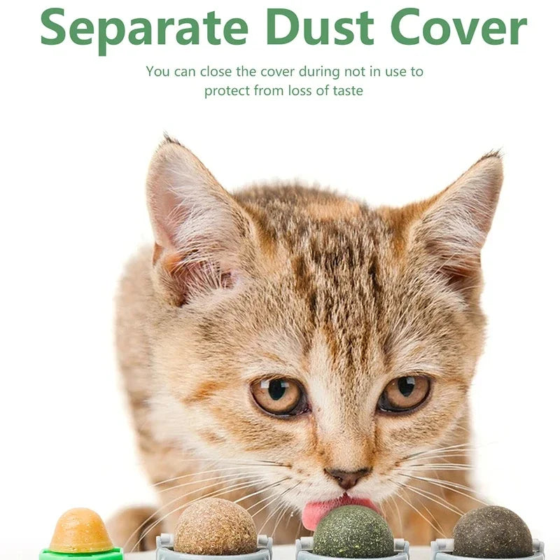 The Spin Stick — Rotating Catnip & Silvervine Wall Toy