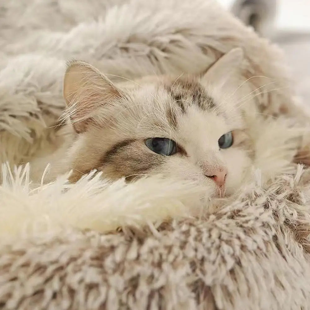 The Burrow — Semi-Enclosed Plush Cat Cave Bed