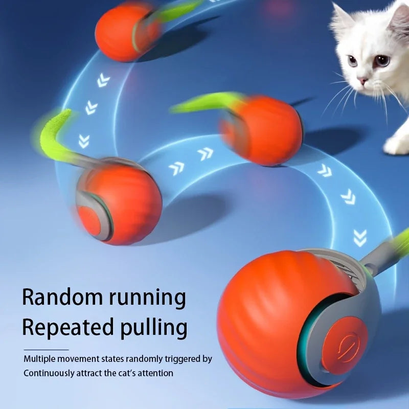 The Dash — Smart Rolling Cat Ball