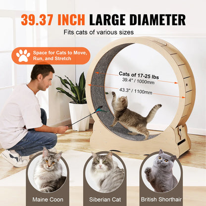 The Runway — Wooden Cat Exercise Wheel