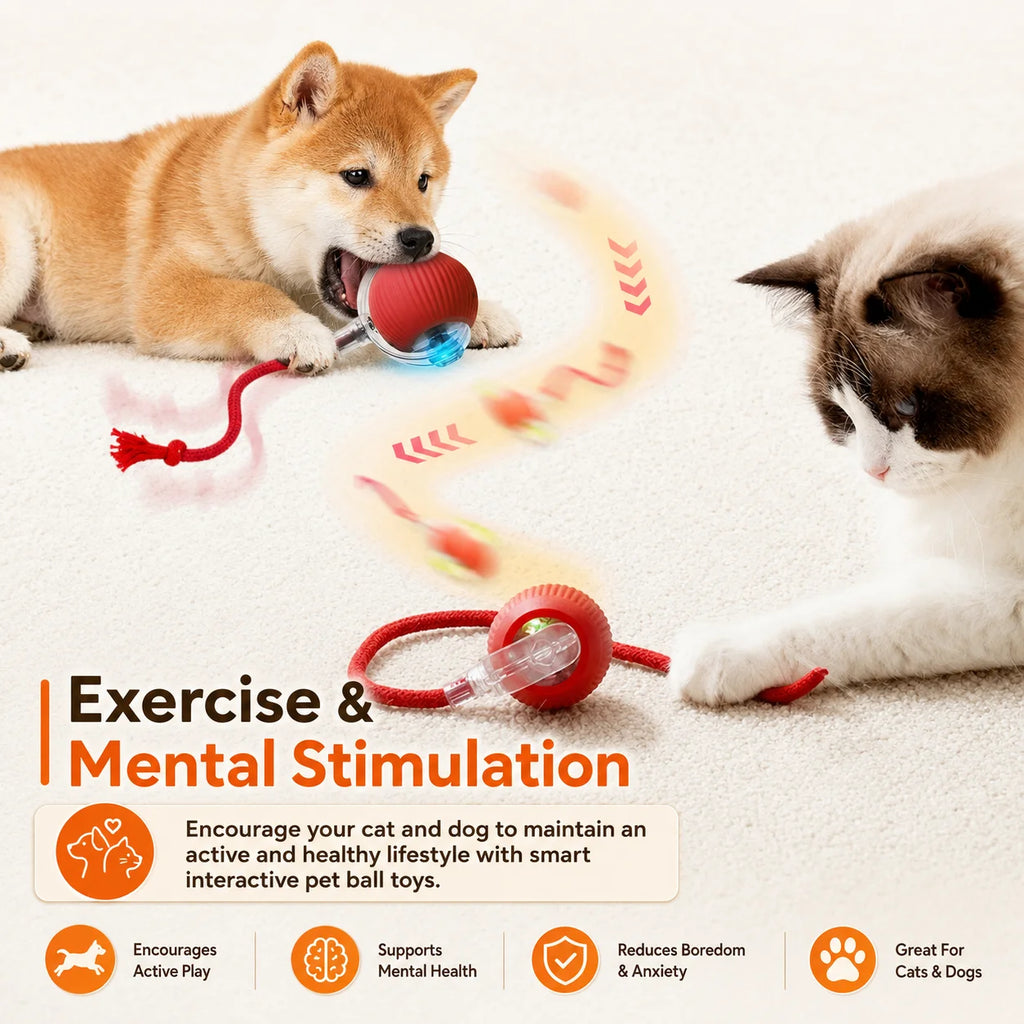 The Chase — Automatic Rolling Cat Ball