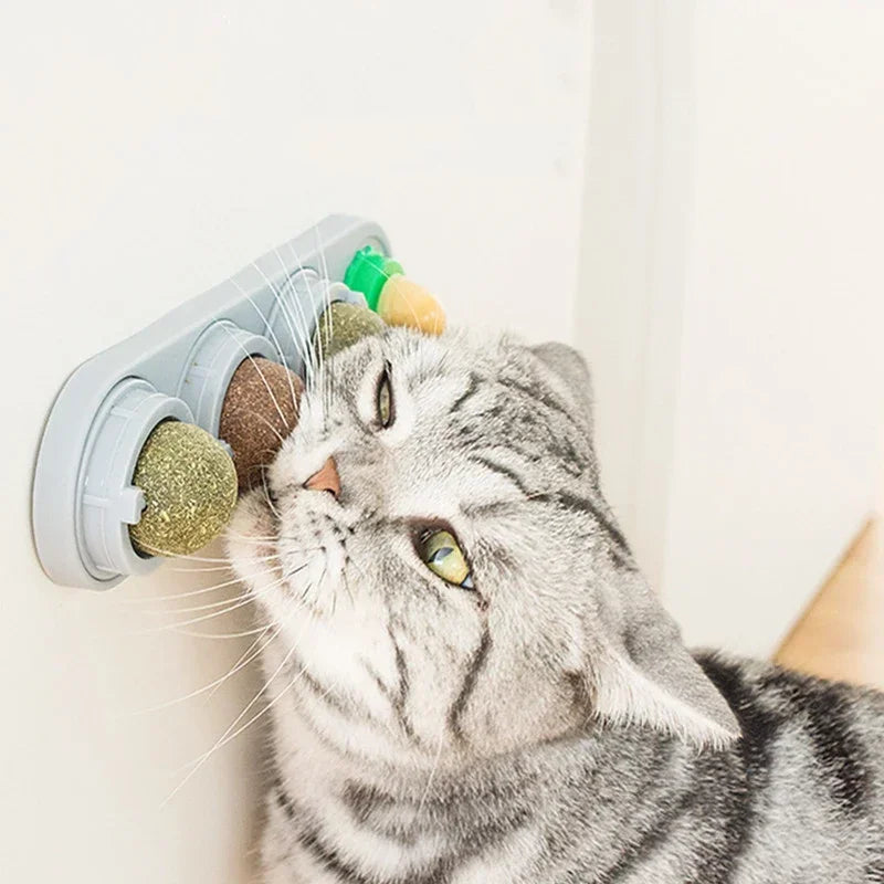 The Spin Stick — Rotating Catnip & Silvervine Wall Toy