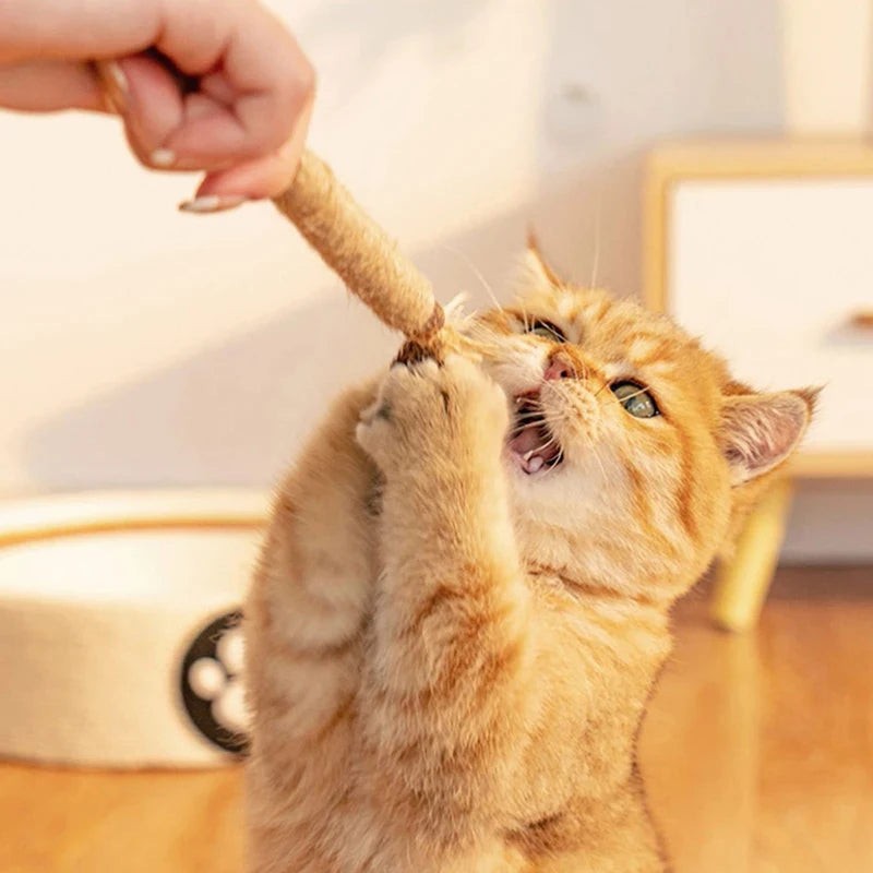 The Chew Stick — Raffia Grass Dental Toy