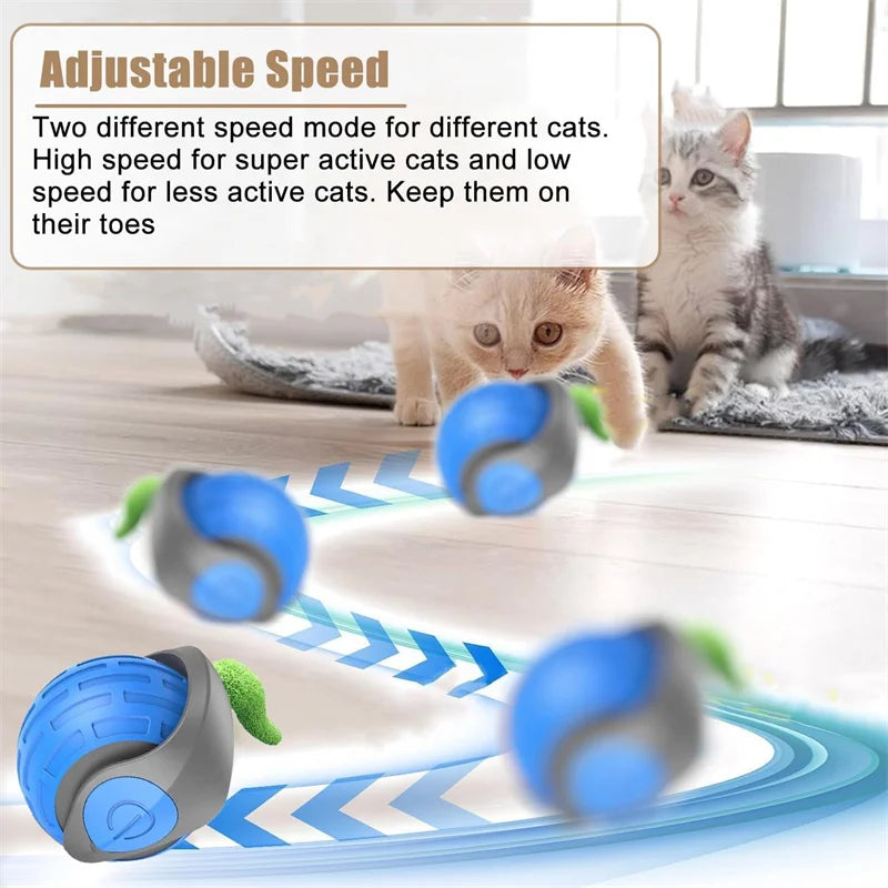 The Dash — Smart Rolling Cat Ball