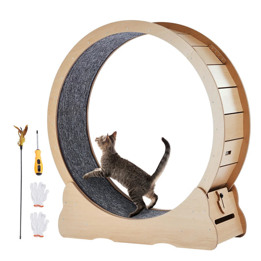 The Runway — Wooden Cat Exercise Wheel