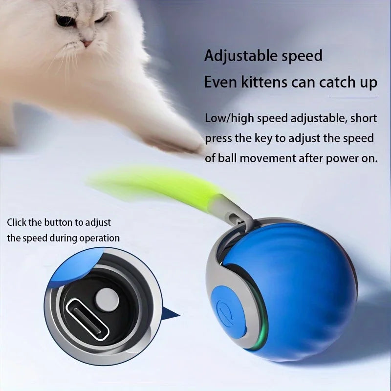 The Dash — Smart Rolling Cat Ball