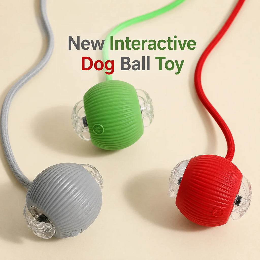 The Chase — Automatic Rolling Cat Ball