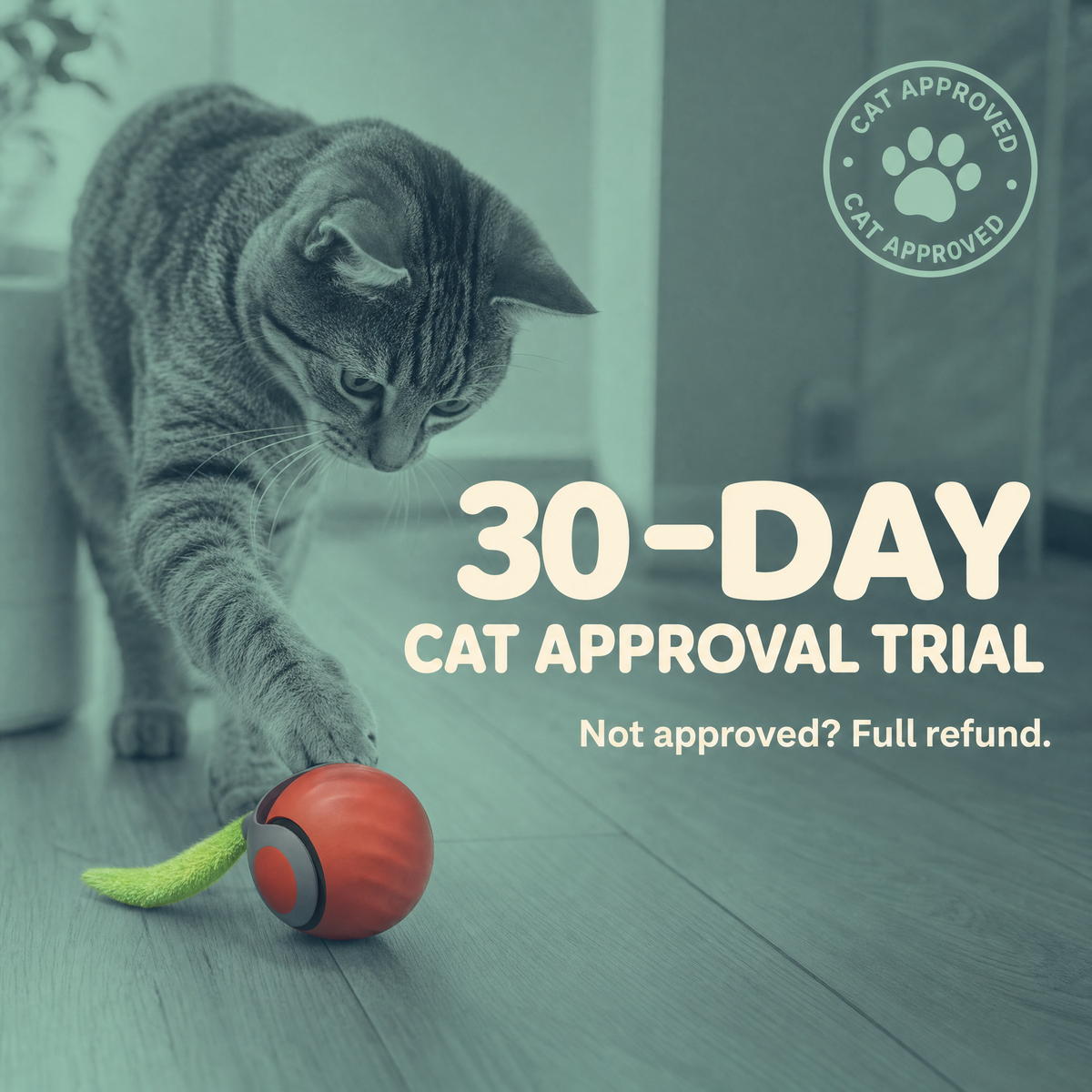 The Dash — Smart Rolling Cat Ball