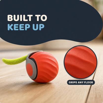 The Dash — Smart Rolling Cat Ball