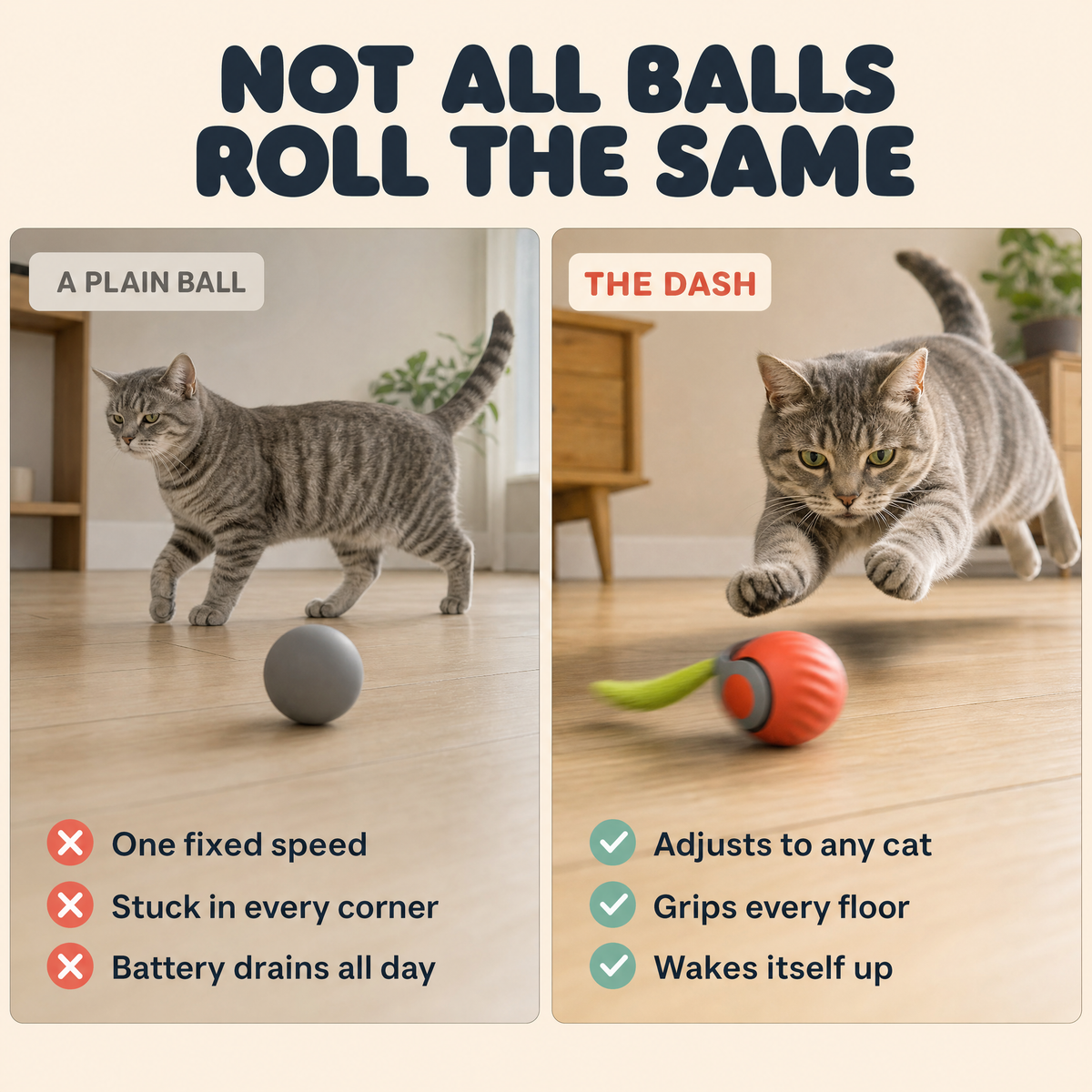 The Dash — Smart Rolling Cat Ball