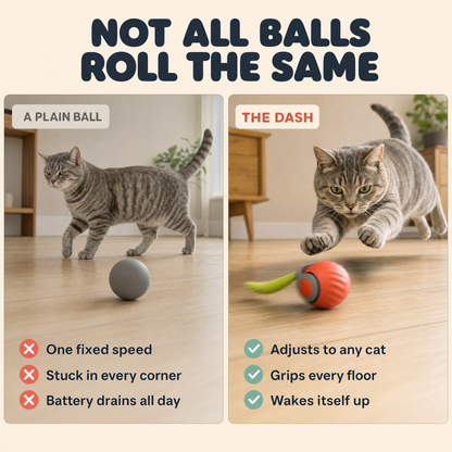 The Dash — Smart Rolling Cat Ball