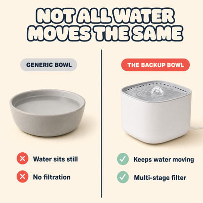 Not all water moves the same — generic bowl vs The Backup Bowl