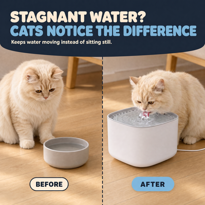 The Backup Bowl — Recirculating Cat Water Fountain