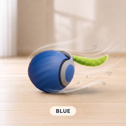 The Dash — Smart Rolling Cat Ball