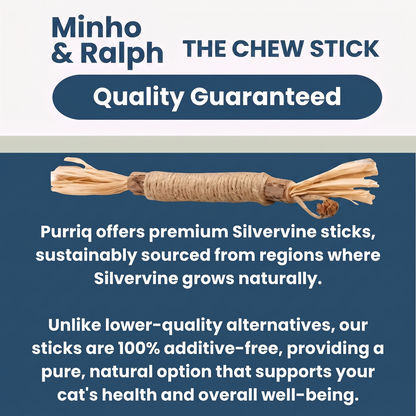 The Chew Stick — Raffia Grass Dental Toy
