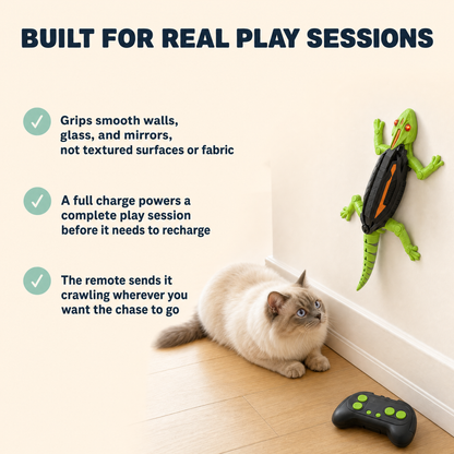 The Wall Crawler — Remote Control Climbing Prey Toy