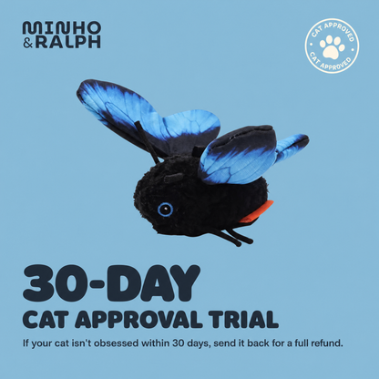 The Dangling Wing 30-day cat approval trial guarantee