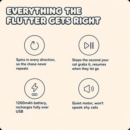 The Flutter key benefits: 360 degree spin, USB rechargeable, quiet motor