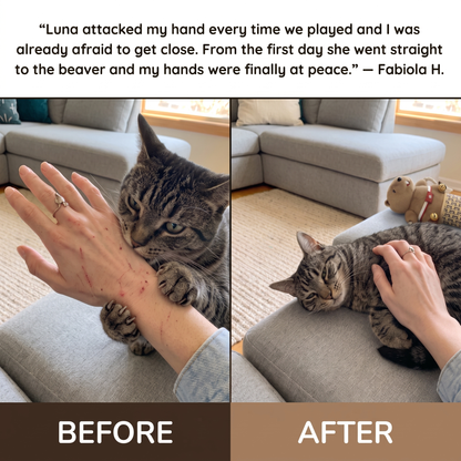ScratchFree Beaver