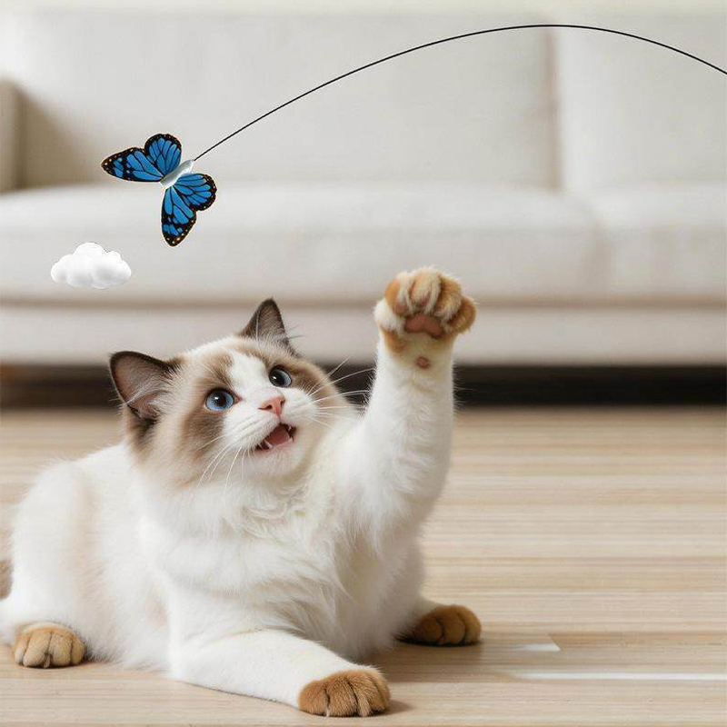 The Flutter — Electric Butterfly Cat Teaser